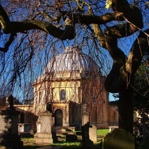 chapel - through tree